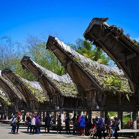 Wisma Papa Tia Toraja Tana Toraja Exteriör bild
