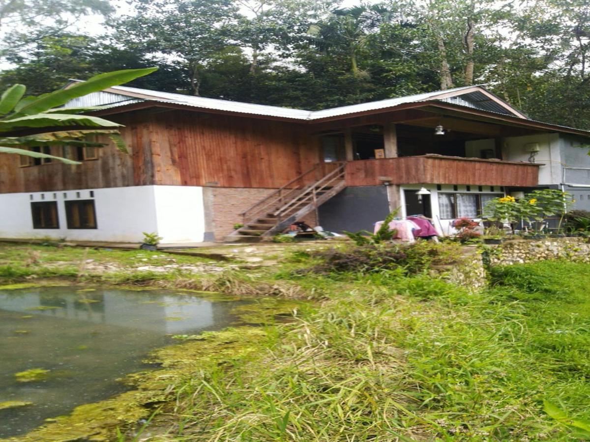 Wisma Papa Tia Toraja Tana Toraja Exteriör bild